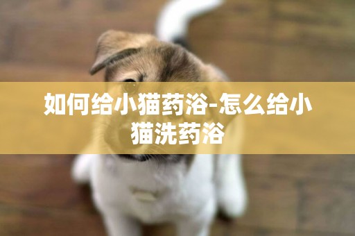 如何給小貓藥浴-怎么給小貓洗藥浴