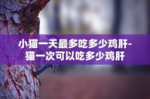 小貓一天最多吃多少雞肝-貓一次可以吃多少雞肝