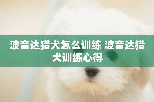 波音達獵犬怎么訓練 波音達獵犬訓練心得