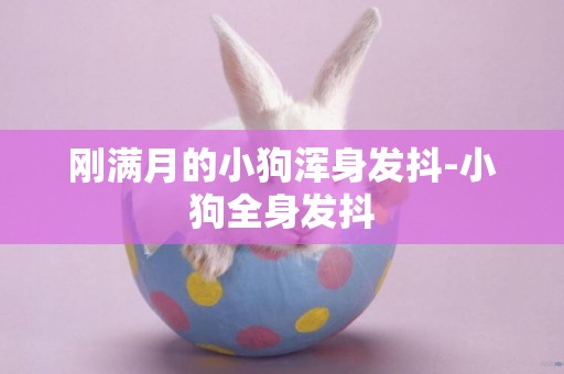 剛滿月的小狗渾身發抖-小狗全身發抖