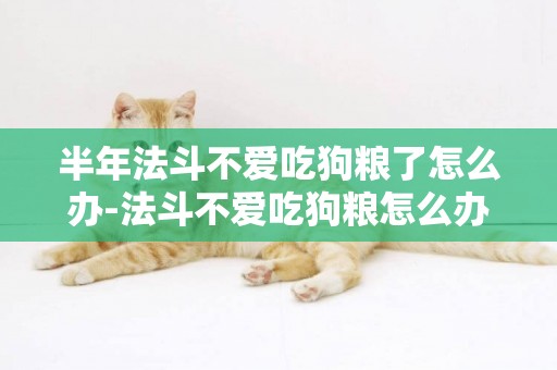 半年法斗不愛吃狗糧了怎么辦-法斗不愛吃狗糧怎么辦