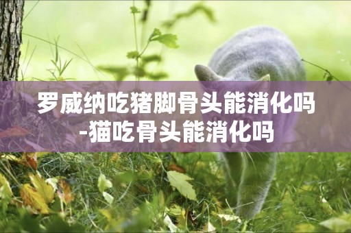 羅威納吃豬腳骨頭能消化嗎-貓吃骨頭能消化嗎