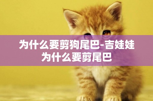 為什么要剪狗尾巴-吉娃娃為什么要剪尾巴