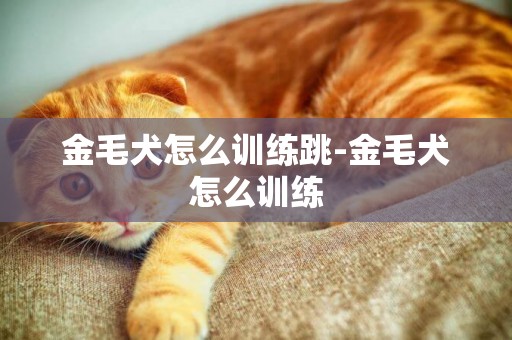 金毛犬怎么訓練跳-金毛犬怎么訓練