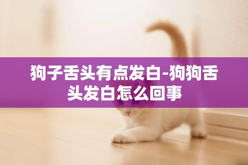 狗子舌頭有點發白-狗狗舌頭發白怎么回事