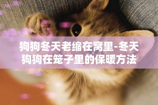 狗狗冬天老縮在窩里-冬天狗狗在籠子里的保暖方法
