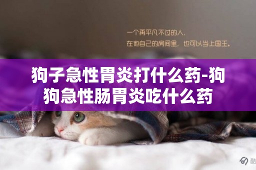 狗子急性胃炎打什么藥-狗狗急性腸胃炎吃什么藥