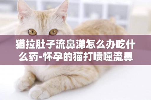 貓拉肚子流鼻涕怎么辦吃什么藥-懷孕的貓打噴嚏流鼻涕怎么辦吃什么藥
