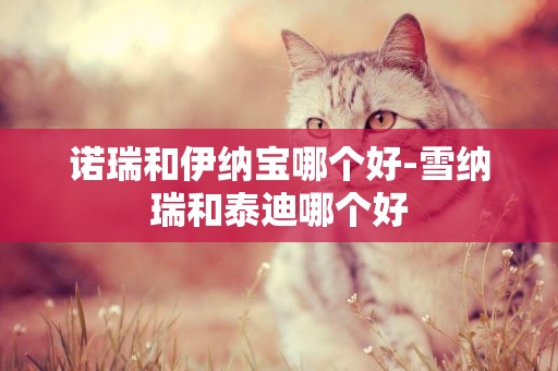 諾瑞和伊納寶哪個好-雪納瑞和泰迪哪個好