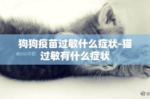 狗狗疫苗過敏什么癥狀-貓過敏有什么癥狀
