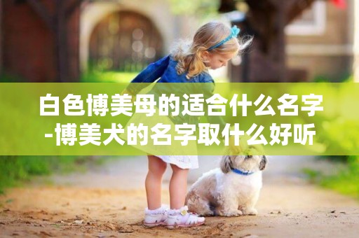 白色博美母的適合什么名字-博美犬的名字取什么好聽
