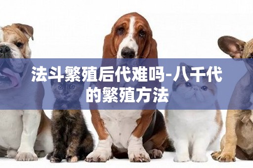 法斗繁殖后代難嗎-八千代的繁殖方法