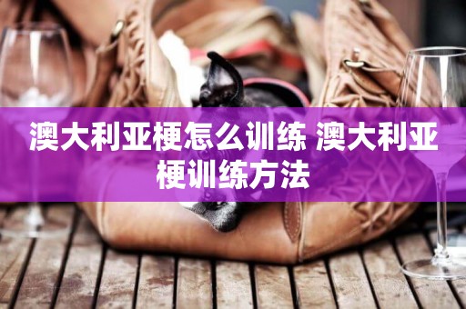 澳大利亞梗怎么訓練 澳大利亞梗訓練方法