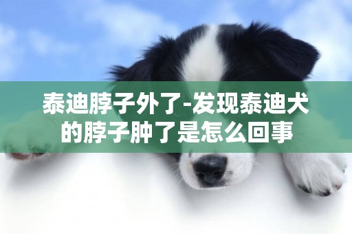 泰迪脖子外了-發現泰迪犬的脖子腫了是怎么回事