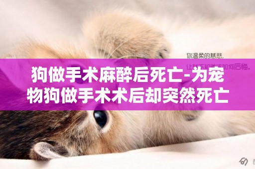 狗做手術麻醉后死亡-為寵物狗做手術術后卻突然死亡