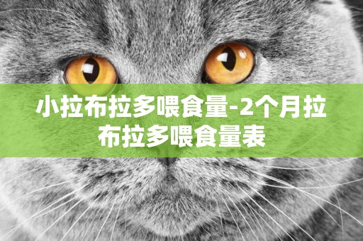 小拉布拉多喂食量-2個月拉布拉多喂食量表