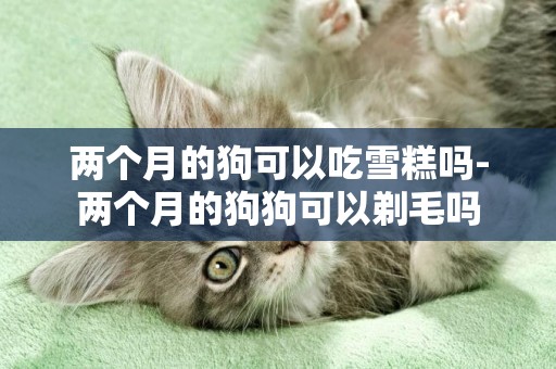兩個月的狗可以吃雪糕嗎-兩個月的狗狗可以剃毛嗎