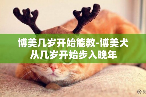 博美幾歲開始能教-博美犬從幾歲開始步入晚年