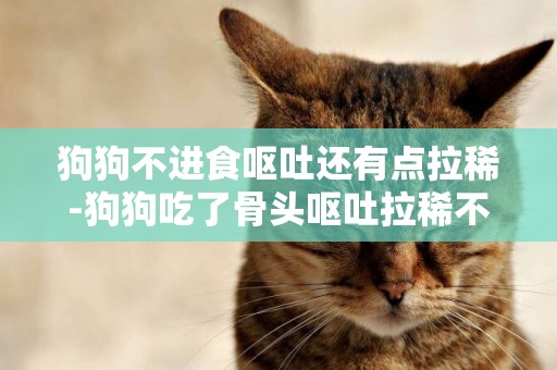 狗狗不進食嘔吐還有點拉稀-狗狗吃了骨頭嘔吐拉稀不吃食