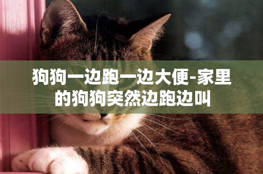 狗狗一邊跑一邊大便-家里的狗狗突然邊跑邊叫