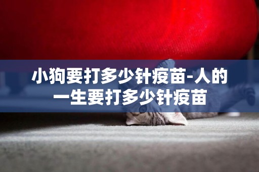 小狗要打多少針疫苗-人的一生要打多少針疫苗