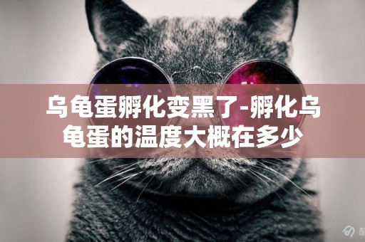 烏龜蛋孵化變黑了-孵化烏龜蛋的溫度大概在多少