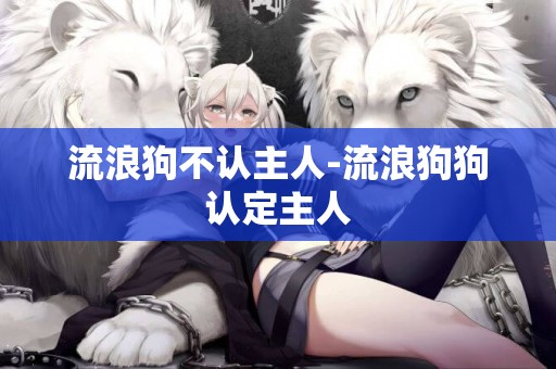 流浪狗不認主人-流浪狗狗認定主人