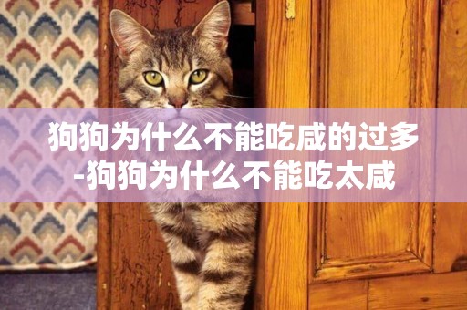 狗狗為什么不能吃咸的過多-狗狗為什么不能吃太咸