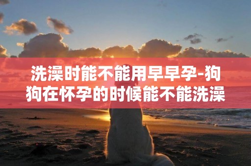 洗澡時能不能用早早孕-狗狗在懷孕的時候能不能洗澡
