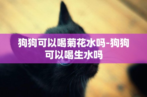 狗狗可以喝菊花水嗎-狗狗可以喝生水嗎