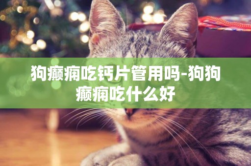 狗癲癇吃鈣片管用嗎-狗狗癲癇吃什么好