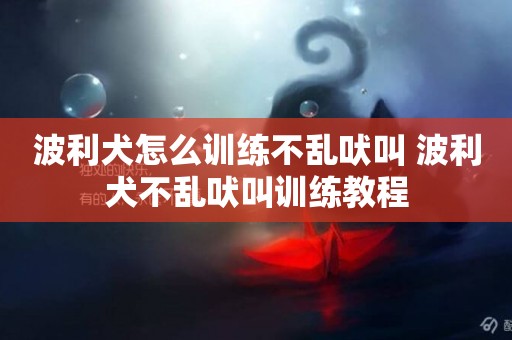 波利犬怎么訓練不亂吠叫 波利犬不亂吠叫訓練教程