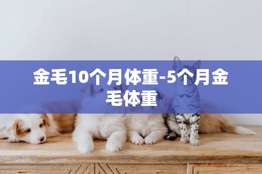 金毛10個月體重-5個月金毛體重
