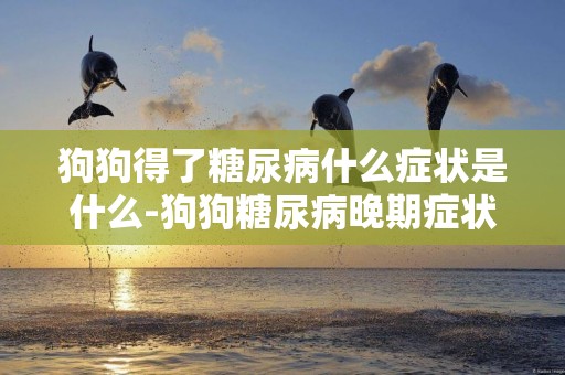 狗狗得了糖尿病什么癥狀是什么-狗狗糖尿病晚期癥狀是什么