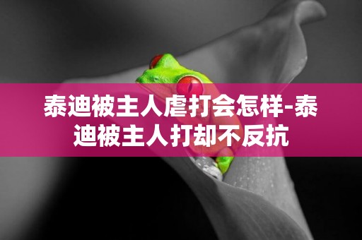 泰迪被主人虐打會怎樣-泰迪被主人打卻不反抗