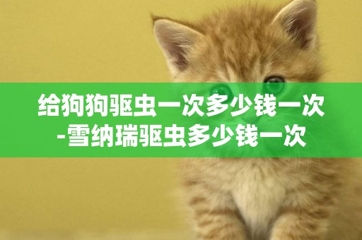 給狗狗驅蟲一次多少錢一次-雪納瑞驅蟲多少錢一次