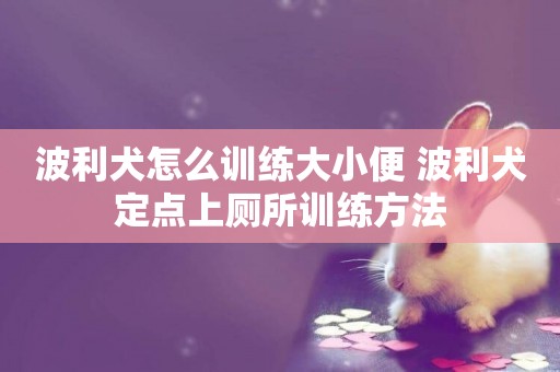 波利犬怎么訓練大小便 波利犬定點上廁所訓練方法