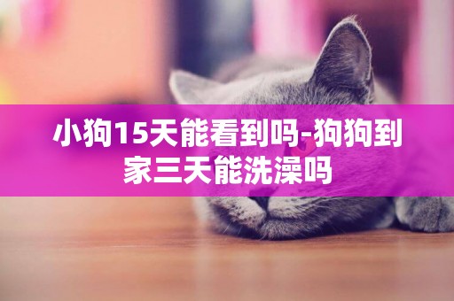 小狗15天能看到嗎-狗狗到家三天能洗澡嗎