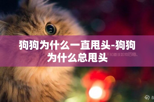 狗狗為什么一直甩頭-狗狗為什么總甩頭