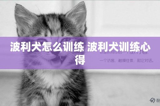 波利犬怎么訓練 波利犬訓練心得