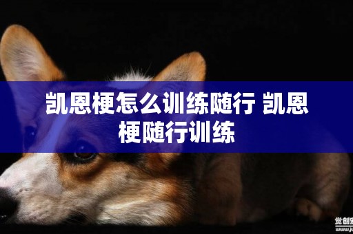 凱恩梗怎么訓練隨行 凱恩梗隨行訓練