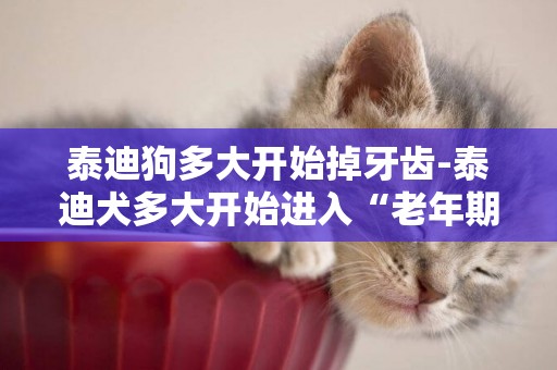 泰迪狗多大開始掉牙齒-泰迪犬多大開始進入“老年期”