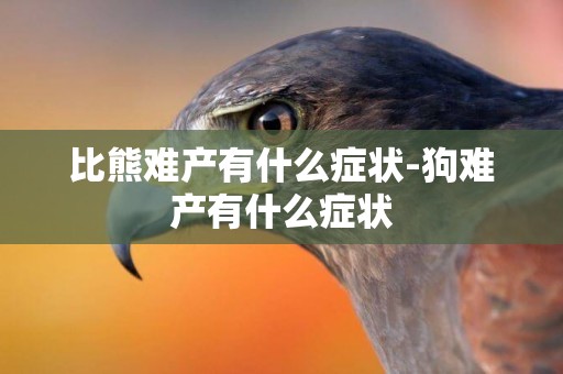 比熊難產有什么癥狀-狗難產有什么癥狀