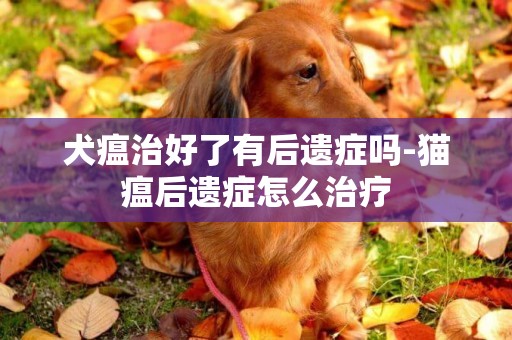 犬瘟治好了有后遺癥嗎-貓瘟后遺癥怎么治療