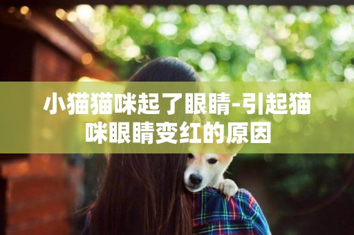 小貓貓咪起了眼睛-引起貓咪眼睛變紅的原因