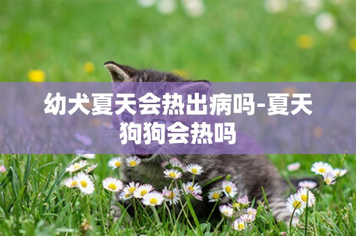 幼犬夏天會熱出病嗎-夏天狗狗會熱嗎