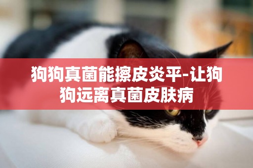狗狗真菌能擦皮炎平-讓狗狗遠離真菌皮膚病