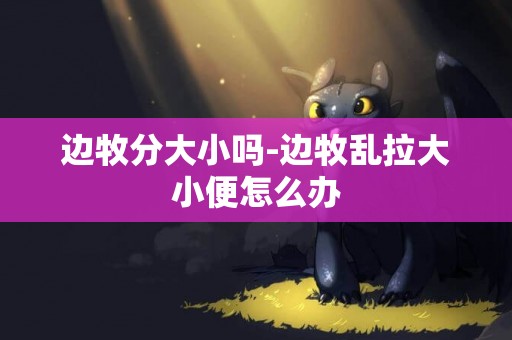 邊牧分大小嗎-邊牧亂拉大小便怎么辦