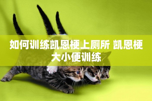 如何訓練凱恩梗上廁所 凱恩梗大小便訓練