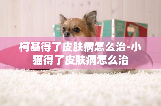 柯基得了皮膚病怎么治-小貓得了皮膚病怎么治